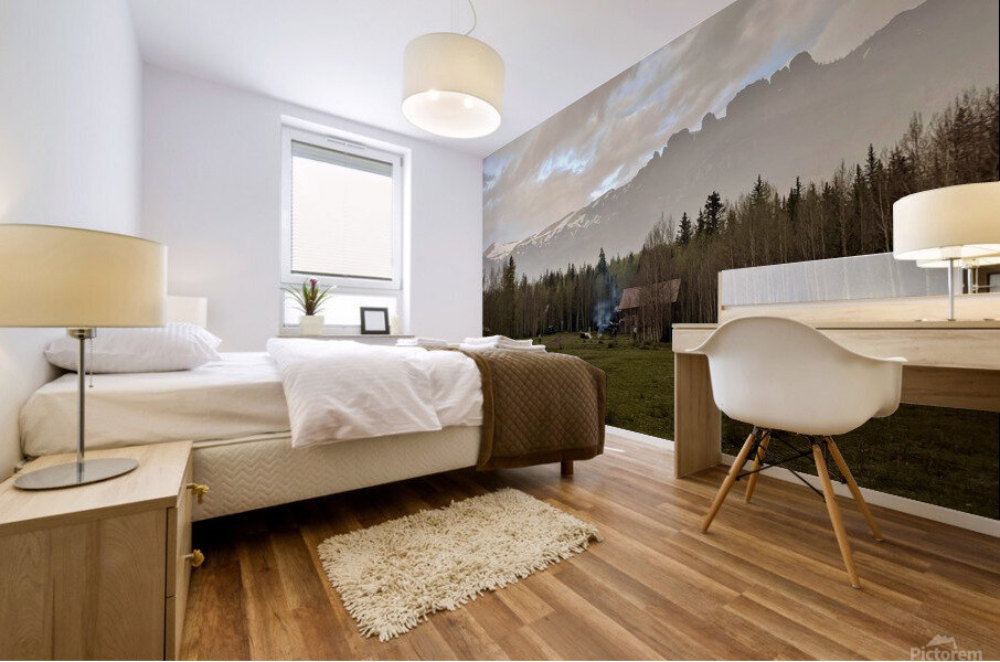 Rained out  Mural print