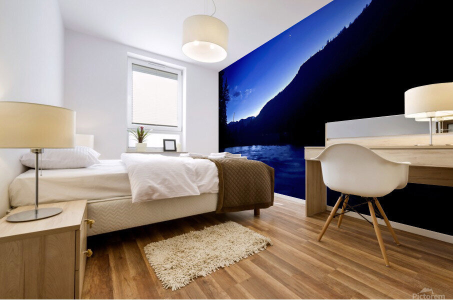Night Blues  Mural print