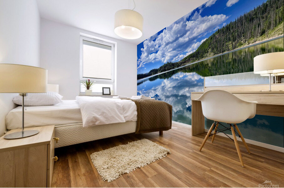 Big reflections  Mural print