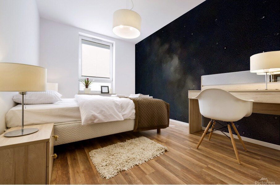 Night by the fire  Mural print