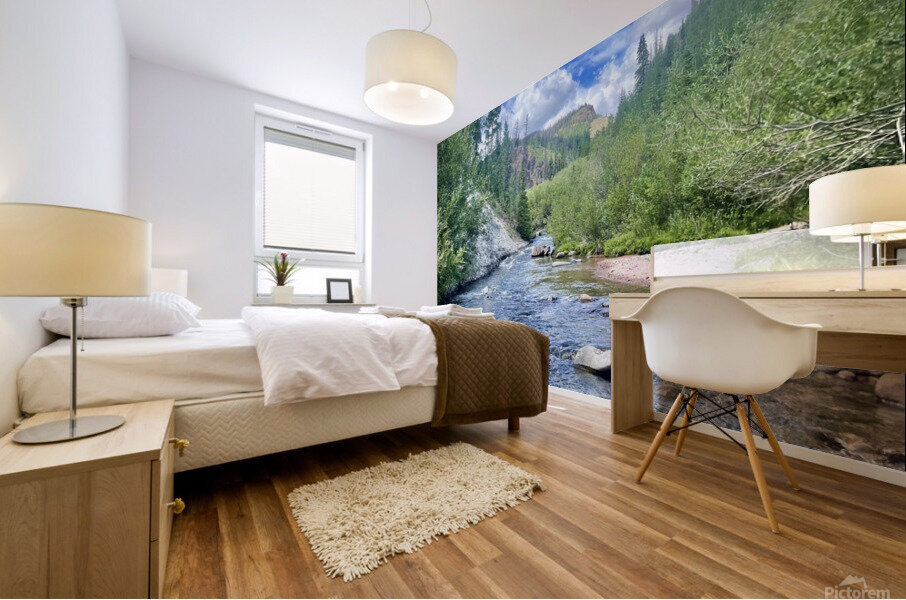 Pole creek Too Mural print