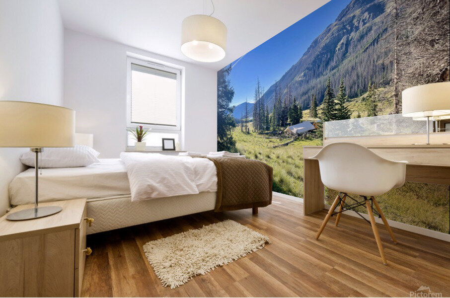 Camp Mornings  Mural print