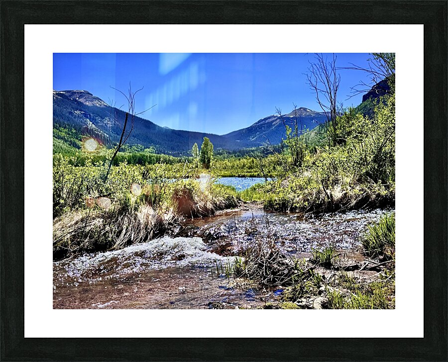 Brewster Park Picture Frame print