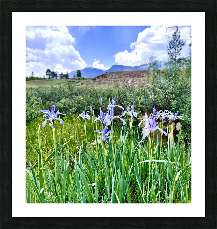Spring Flowers Picture Frame print
