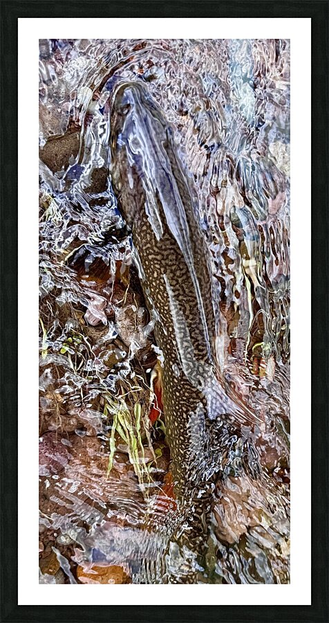 Resting Brook Picture Frame print