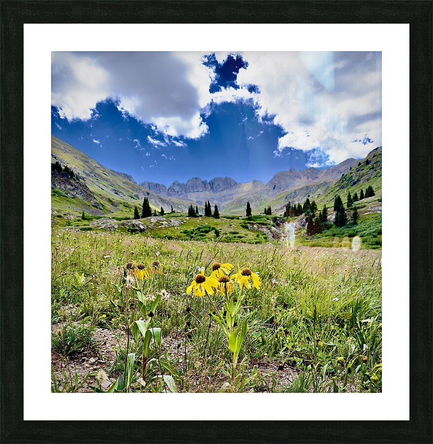 American basin Picture Frame print