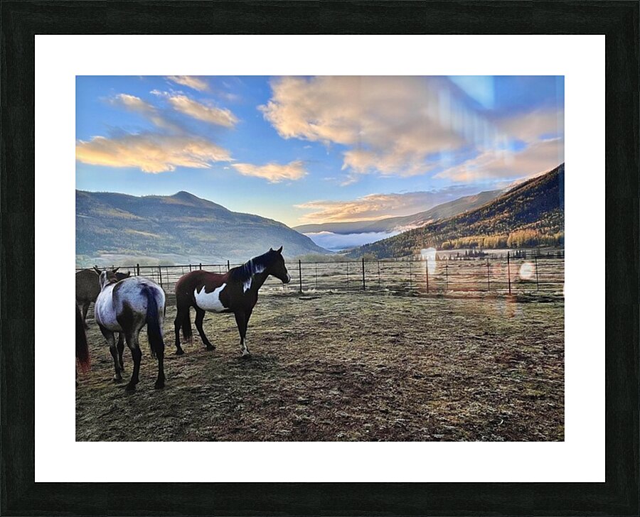 Evening Serenity Picture Frame print