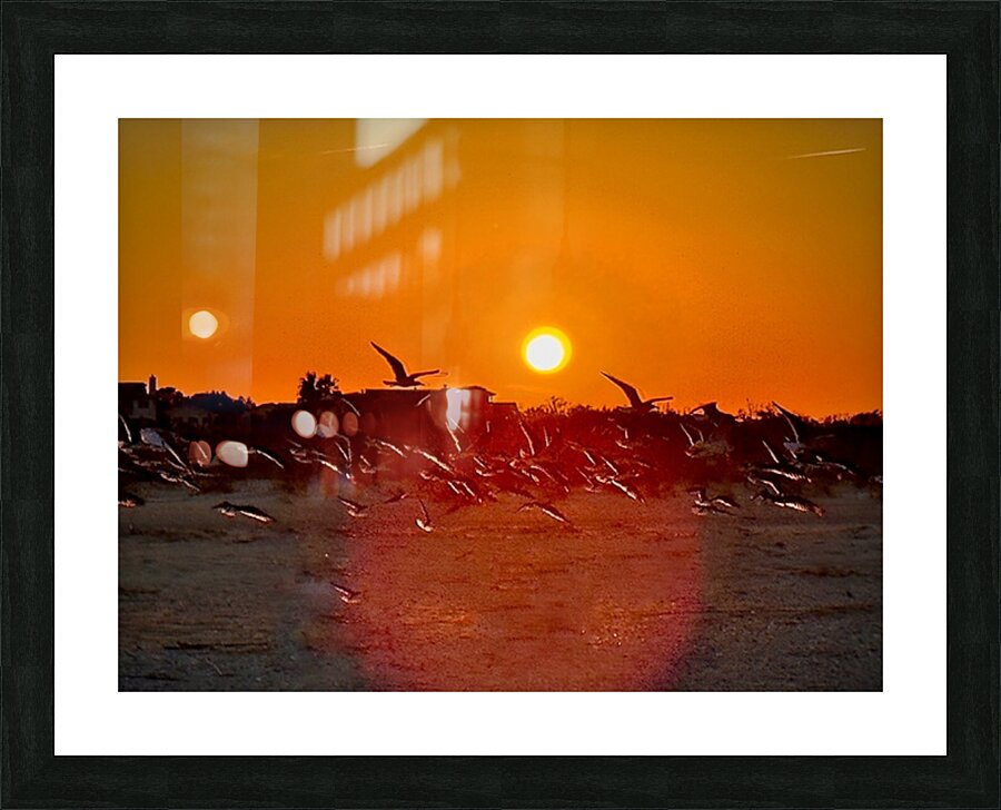 Almost gone  Picture Frame print