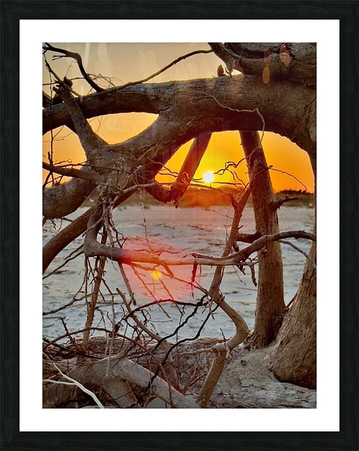 Driftwood sunset  Picture Frame print