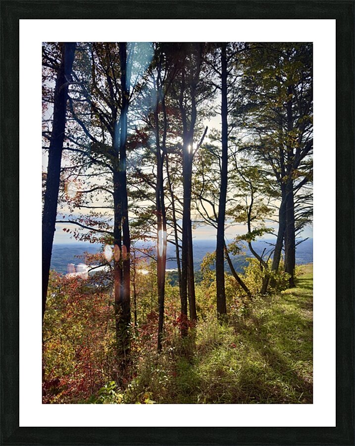 Fall is near  Picture Frame print