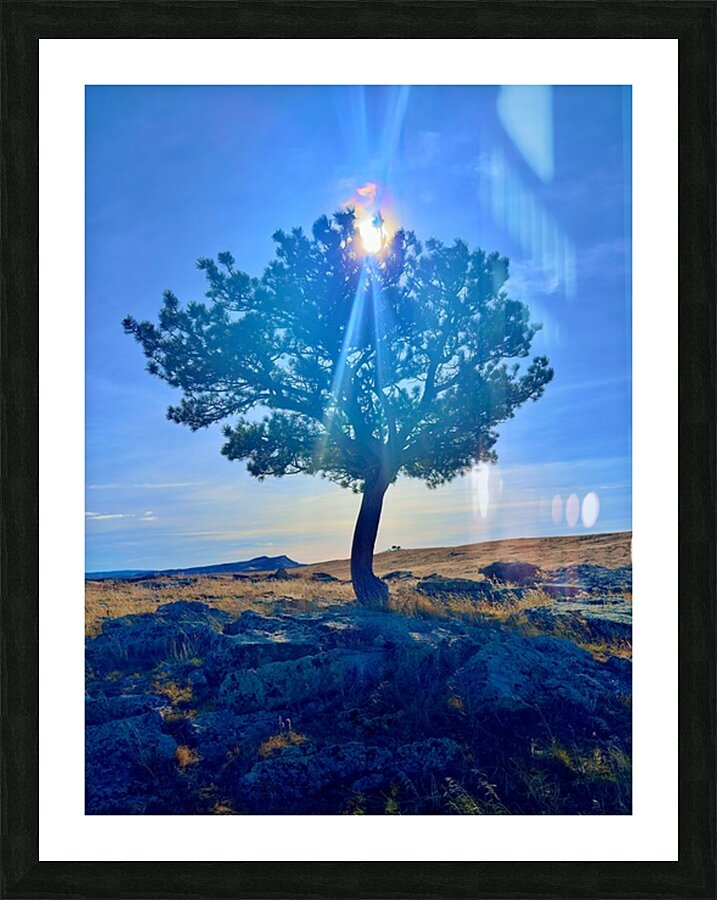 Lone Tree hill Picture Frame print