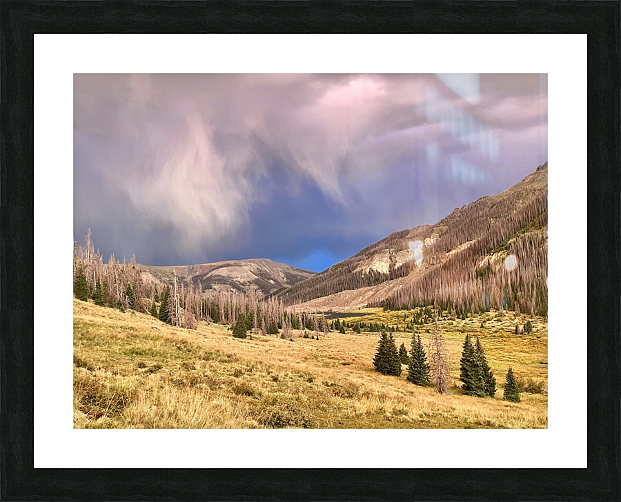 Storm a Coming  Picture Frame print