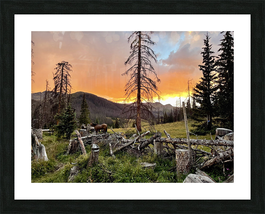High Mountain Camp Sunset  Picture Frame print