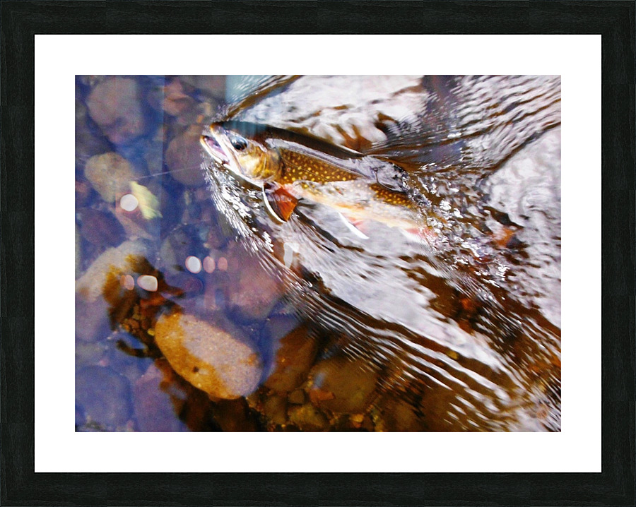 Brook Trout arrow head Picture Frame print