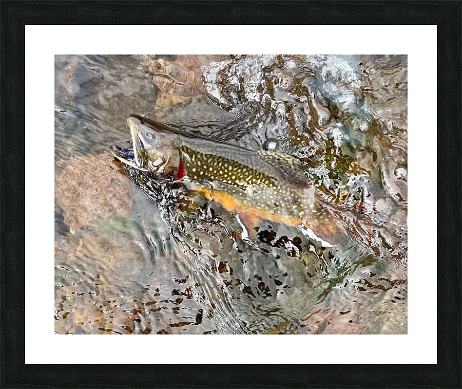 Snarling Brook Picture Frame print