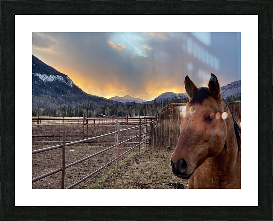 Watching Sunset  Picture Frame print