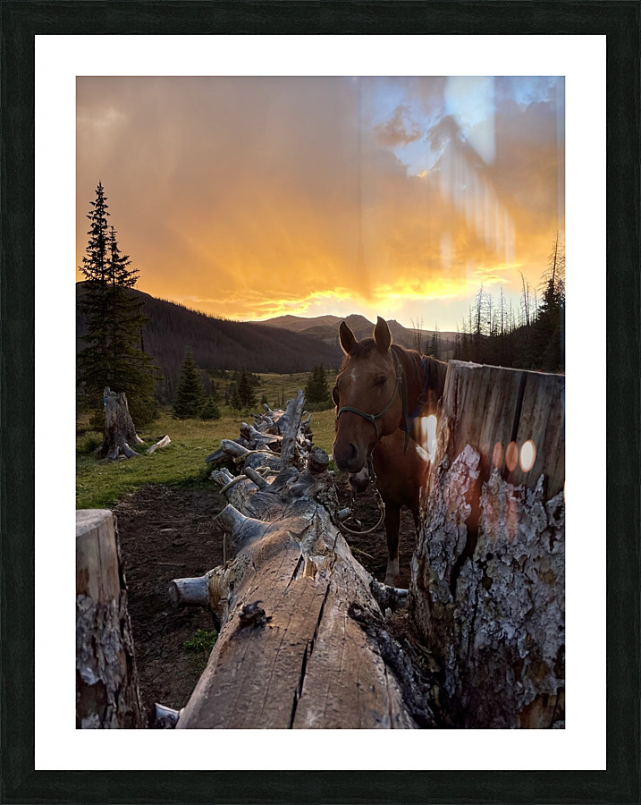Watching Sunset Picture Frame print