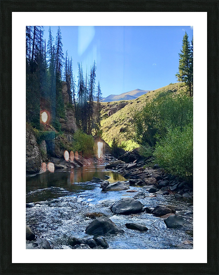 Stream Reflections Picture Frame print
