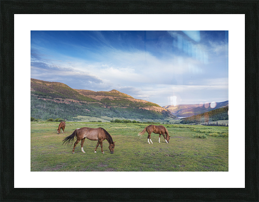 Good Grazing Picture Frame print