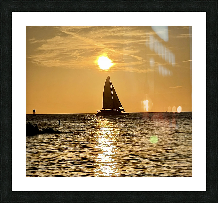 Sailing into the sun Picture Frame print