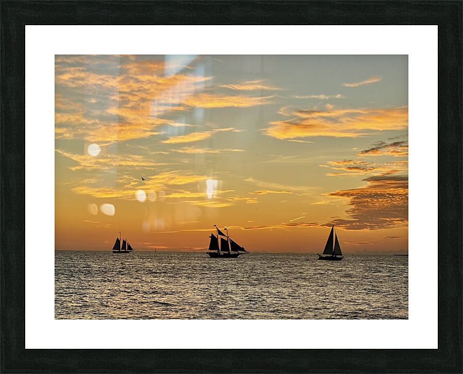 Waiting patiently Picture Frame print