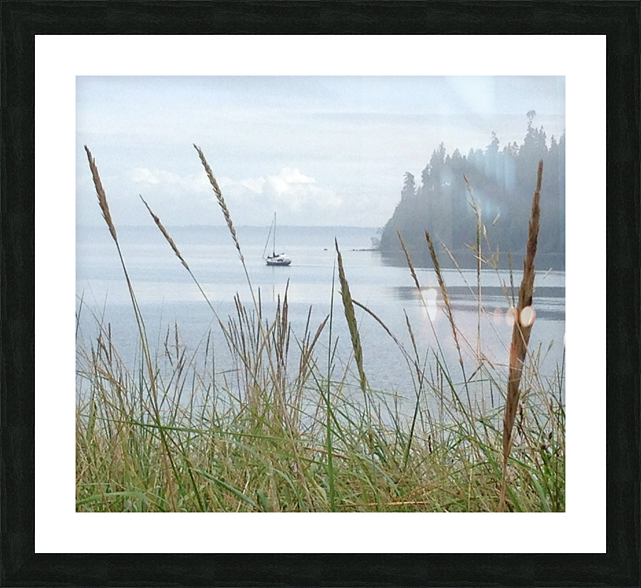 Dozing in the grass Picture Frame print