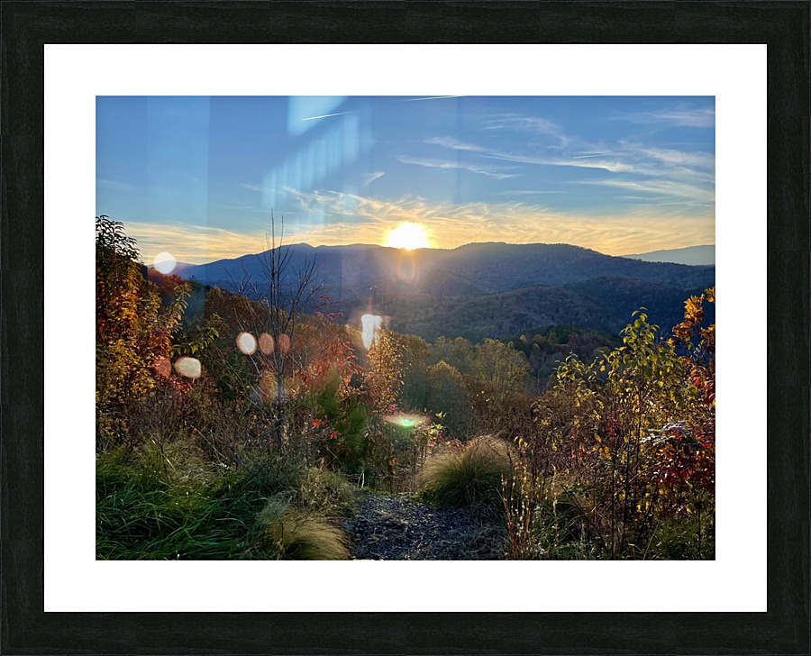 Burl Gap Overlook Picture Frame print