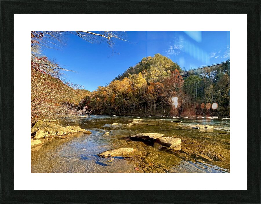 Ocoee River Foliage Picture Frame print