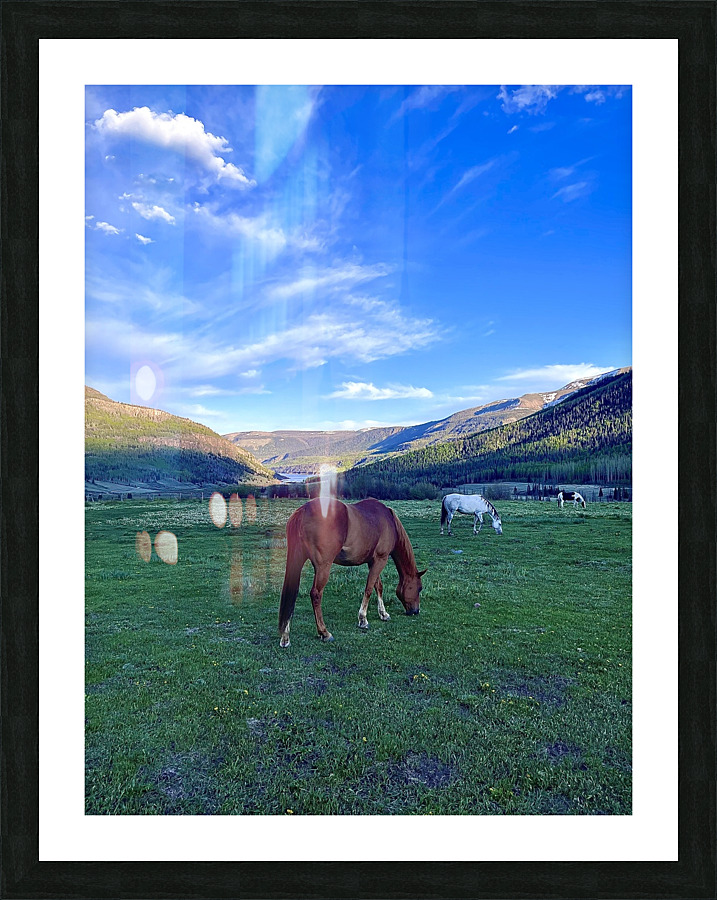  Peaceful Grazing  Picture Frame print