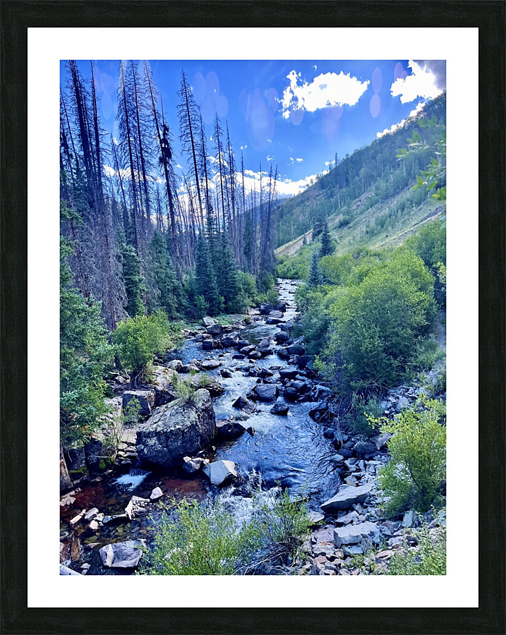 Pole creek  Picture Frame print