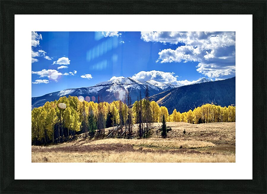 Aspen line  Picture Frame print