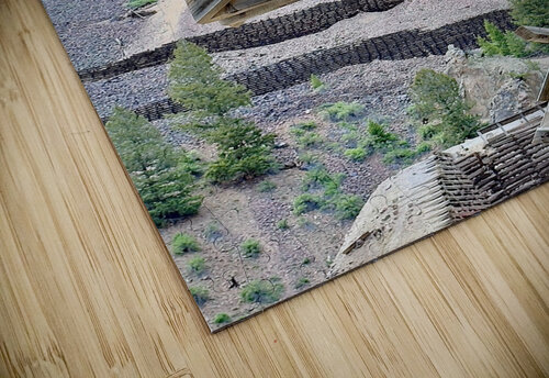 Through the timbers Dick Davis puzzle