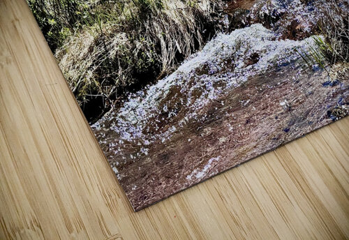 Brewster Park Dick Davis puzzle