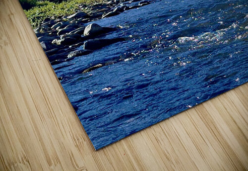 Wading the river Dick Davis puzzle