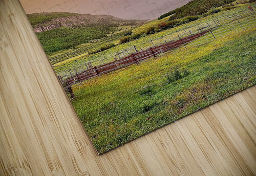 Rainbow Sunset Dick Davis puzzle