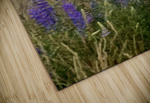Lupine Sunset Dick Davis puzzle