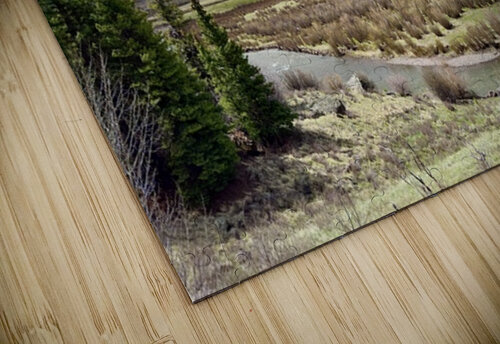 Getting ready to fish Dick Davis puzzle