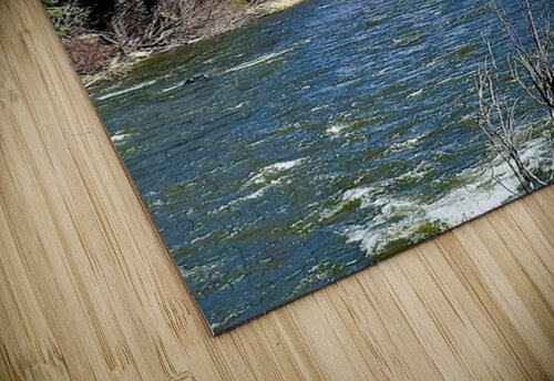 River View Dick Davis puzzle