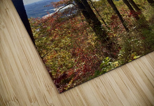 Fall is near  Dick Davis puzzle