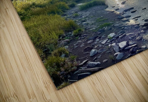  Fishing Days End  Dick Davis puzzle