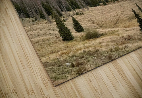 Elk Camp Sunset Dick Davis puzzle