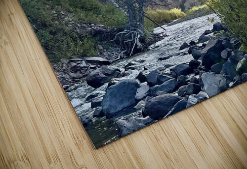 Upper Rio Grande Evening Dick Davis puzzle