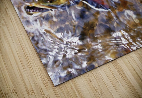 Fall Brookie  Dick Davis puzzle