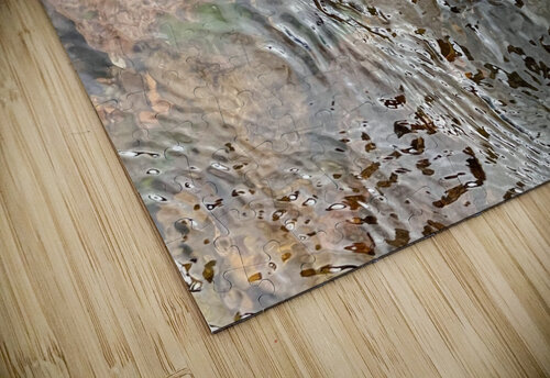 Snarling Brook Dick Davis puzzle