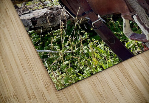 Saddle Mountain Dick Davis puzzle