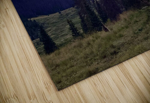 Sunset at camp Dick Davis puzzle