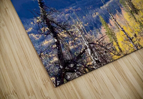 Mountain vista Dick Davis puzzle