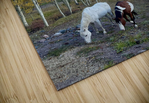 Sunset Grazing Dick Davis puzzle