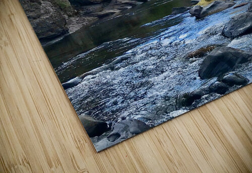 Stream Reflections Dick Davis puzzle