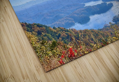 Looking Down on Heaven Dick Davis puzzle